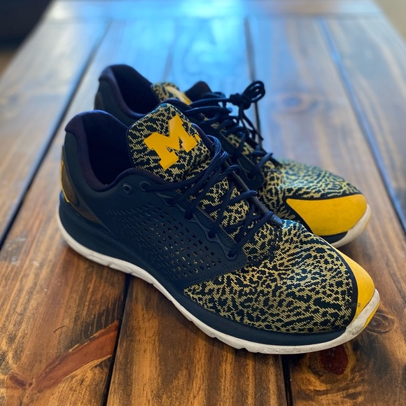 Jordan Trainer ST Michigan PE Promo Sz. 13 - Picture 3 of 9